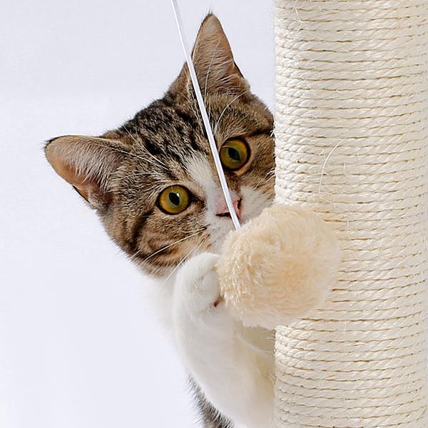 Cat activity center showing self-grooming brush and hanging pompom toy
