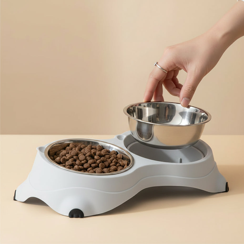 Double stainless steel pet bowl set in a gray non-slip base