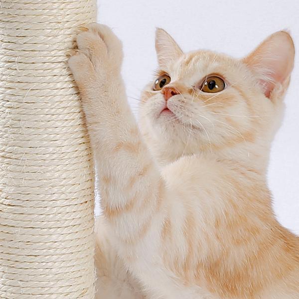 Four-in-one wooden cat activity toy with perch, groomer and ball track