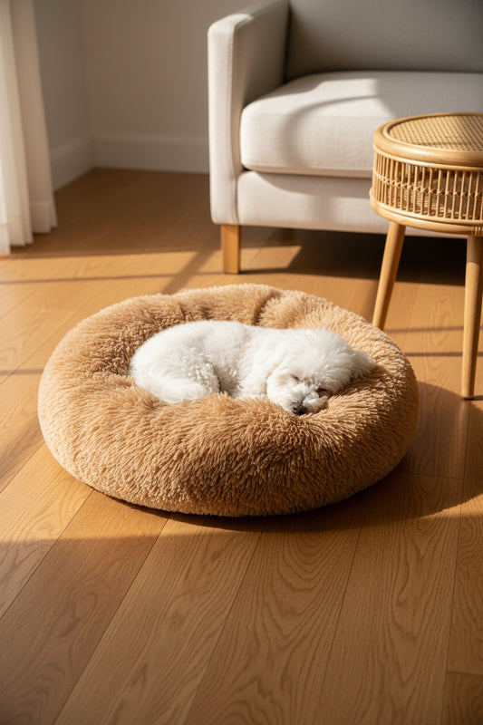 Gray plush calming donut bed with soft raised rim